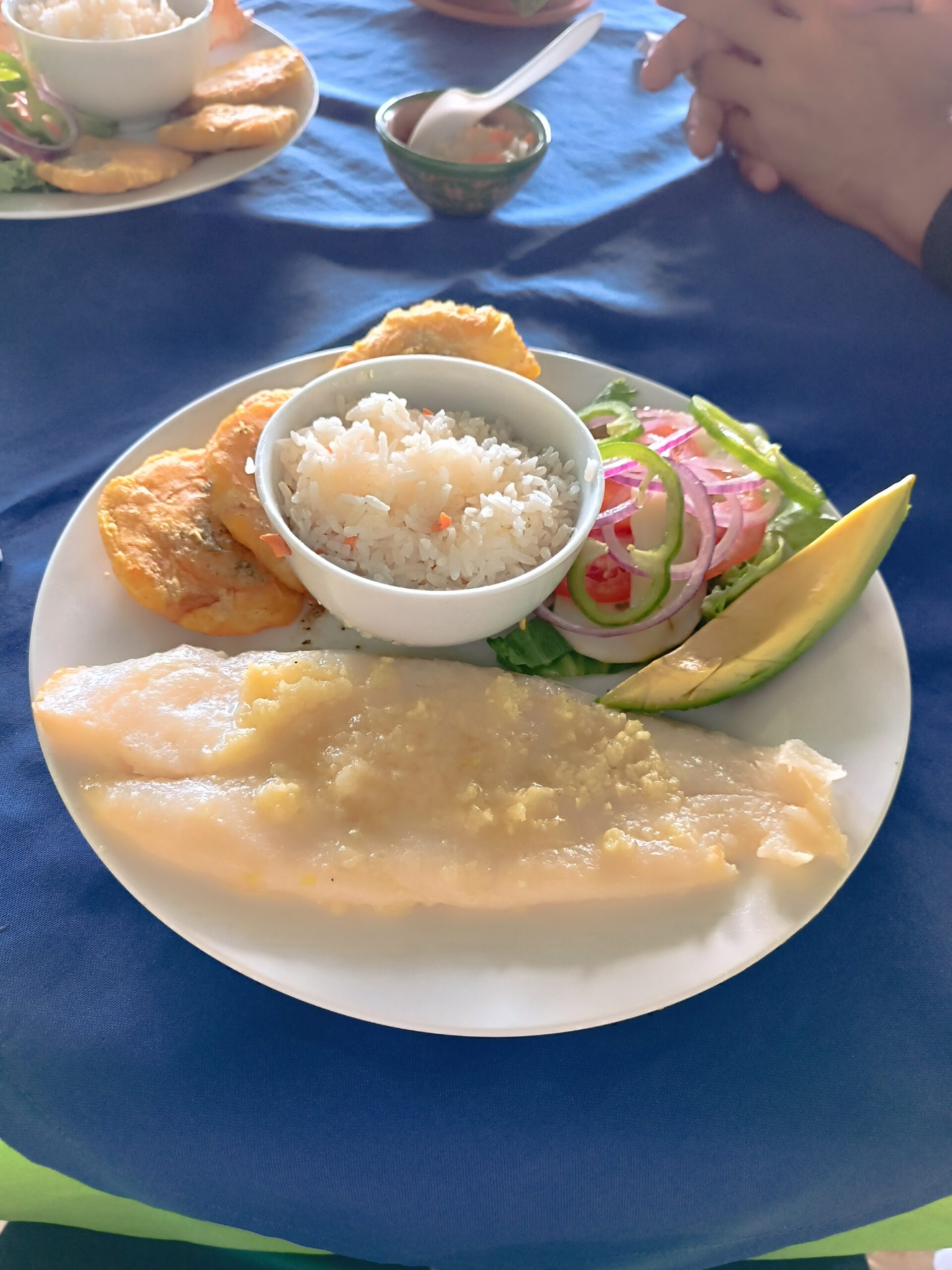 Adoro la corvina al ajillo
